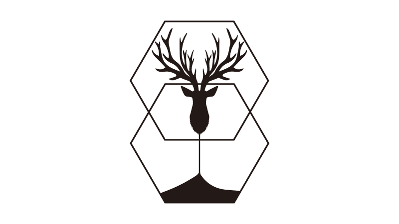 CARSON Logo